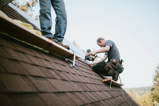 Quick and Trustworthy Emergency Roof Repair Services in Windermere, FL