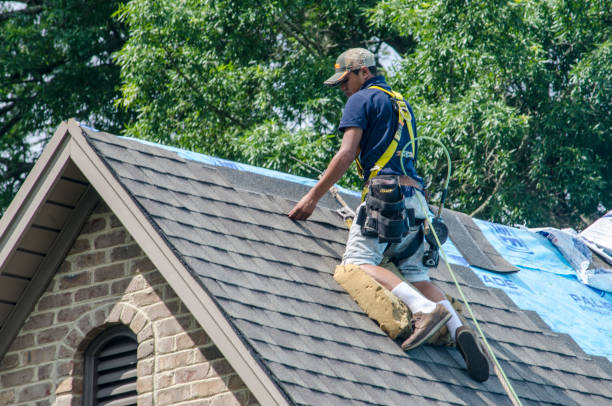 Best Storm Damage Roof Repair  in Windermere, FL